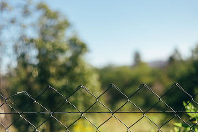 Close-up of fence against clear sky