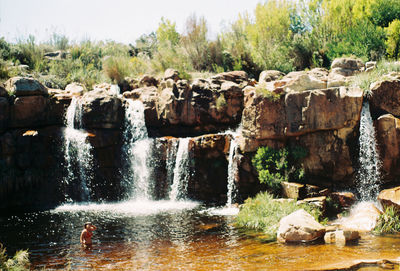 Scenic view of waterfall in forest