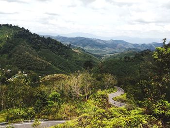 High angle view of trees on landscape against sky