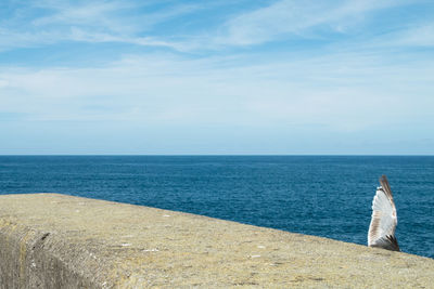 Rear view of people walking on calm beach