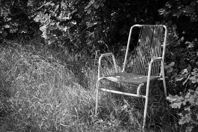Chair on grass