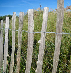 Close-up of wooden posts on field against sky