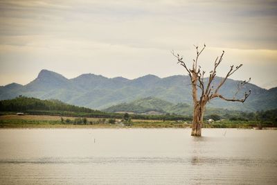 Scenic view of land and mountains against sky