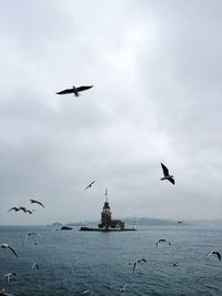 Seagulls flying over sea against sky maiden tower