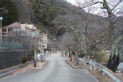 Empty road amidst trees during winter