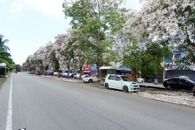 Cars on road by trees in city against sky