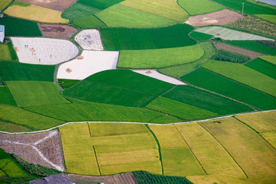 High angle view of agricultural field