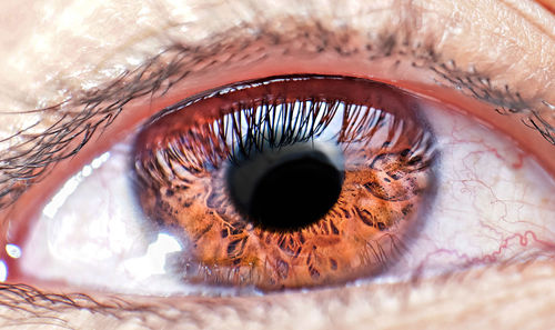 Extreme close-up of human eye