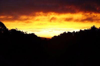 Silhouette trees against sky during sunset