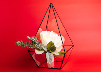 Close-up of red rose against white background