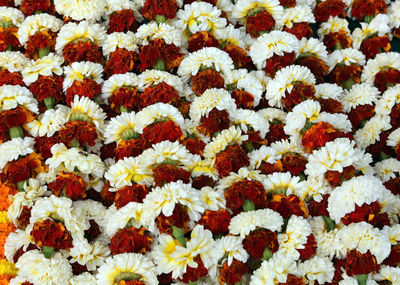 Full frame of flower garlands