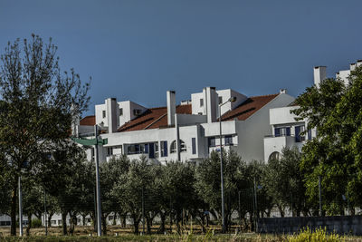 Trees and buildings against blue sky