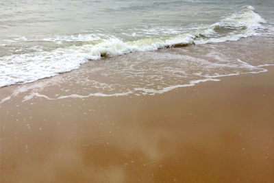 Scenic view of beach