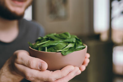 Hands of man holding fresh green salad leaves of spinach. gifts of nature. blessed harvest