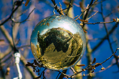 Low angle view of crystal ball on tree against sky