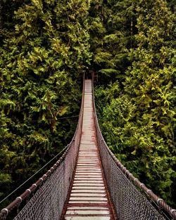 Footbridge in forest