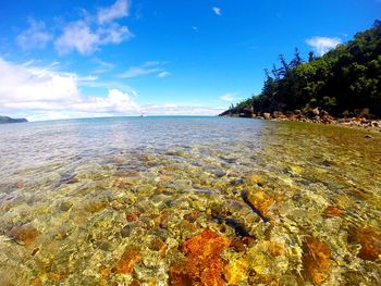 Scenic view of sea against blue sky