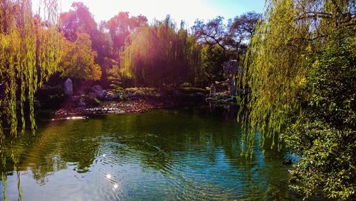 Scenic view of river with trees in background