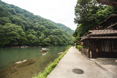 Scenic view of river amidst trees against sky