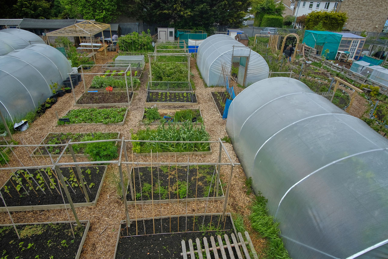 HIGH ANGLE VIEW OF AGRICULTURAL FIELD SEEN THROUGH METAL GRATE