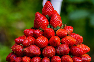 Close-up of strawberries