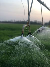 Close-up of water splashing on field against sky