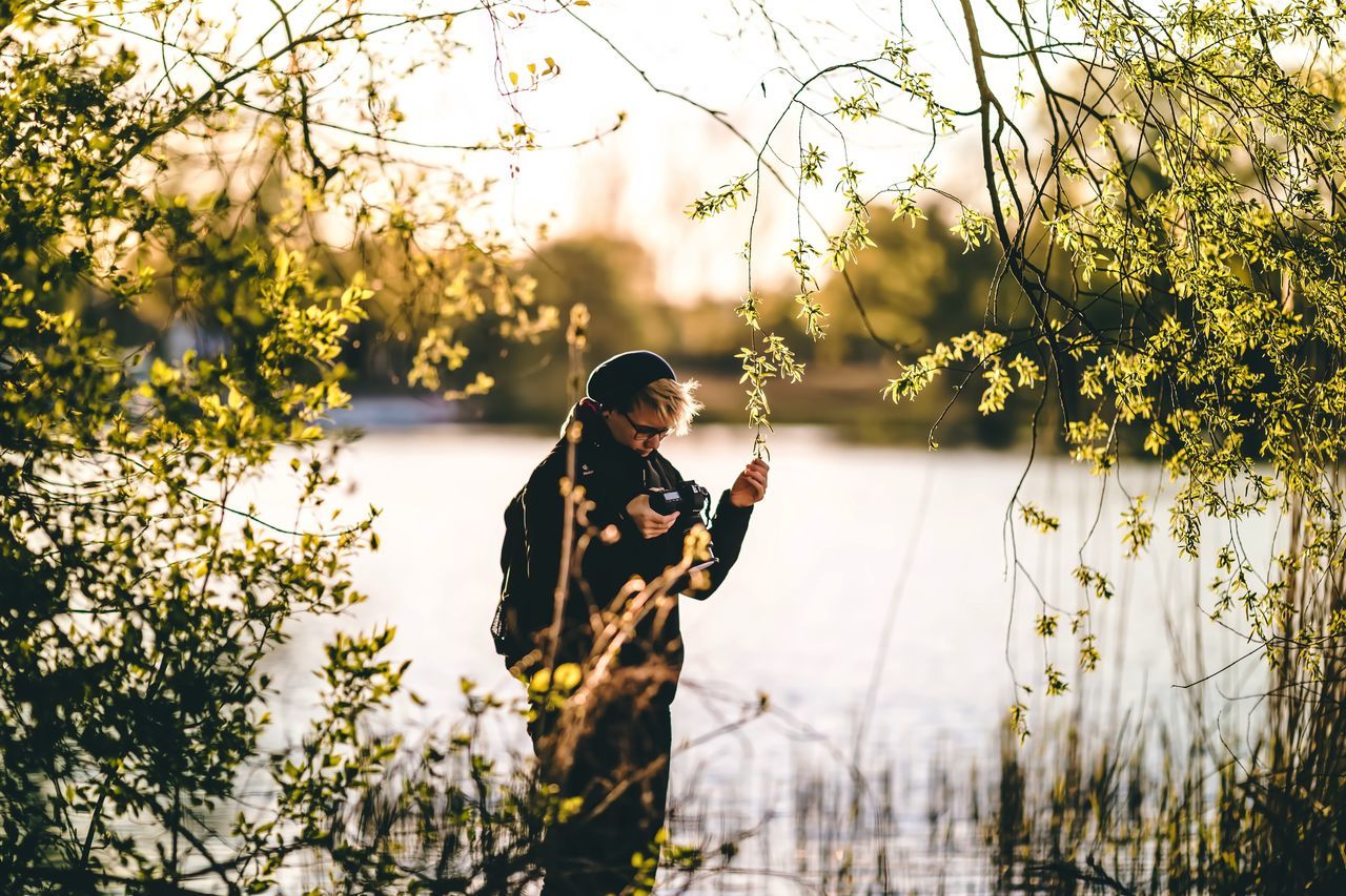 one animal, tree, animal themes, focus on foreground, water, branch, nature, plant, animals in the wild, wildlife, full length, outdoors, sitting, growth, one person, day, sky, reflection, tranquility, selective focus