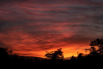 Silhouette trees against dramatic sky during sunset