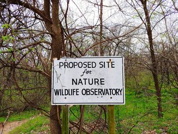 Information sign on tree trunk in forest