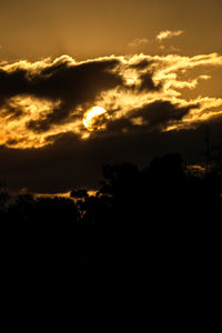 Silhouette trees against sky during sunset