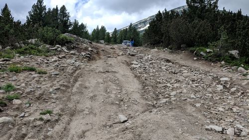 Dirt road amidst trees and plants against sky