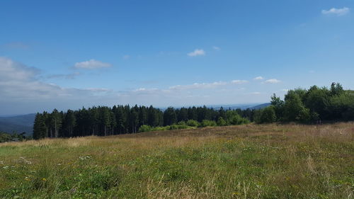 Scenic view of field against sky