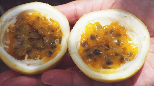 Close-up of hand holding fruits