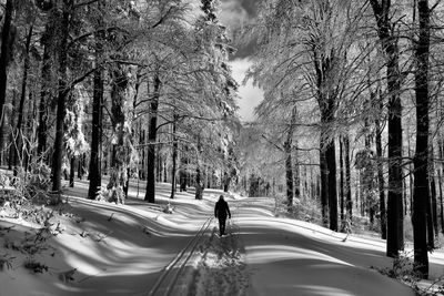 Rear view of person walking on snow covered road