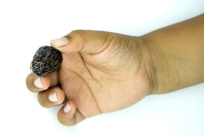 Close-up of hand holding baby over white background