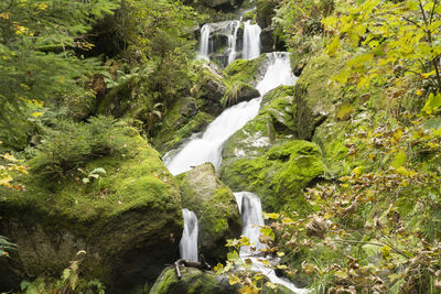 Stream flowing through rocks in forest