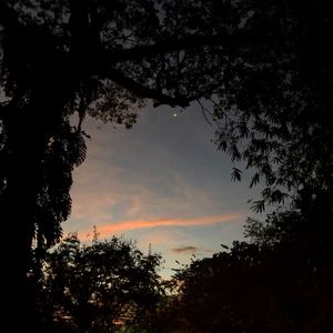 Low angle view of silhouette trees against sky during sunset
