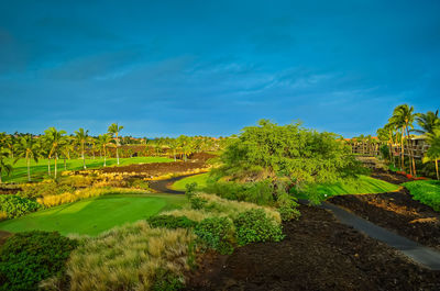 Scenic view of agricultural landscape against blue sky