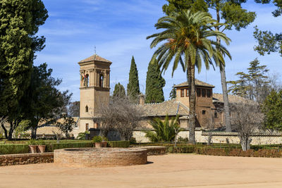 Palm trees and buildings against sky