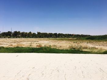 Scenic view of field against clear sky