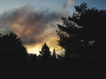 Silhouette of trees against cloudy sky