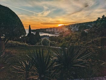 Panoramic view of trees and buildings against sky during sunset