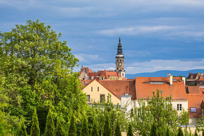 Trees and buildings against sky