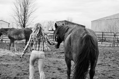 Rear view of woman with horse in pen