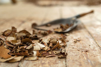 Close-up of dry leaves on wood