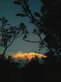 Low angle view of silhouette trees against sky at sunset