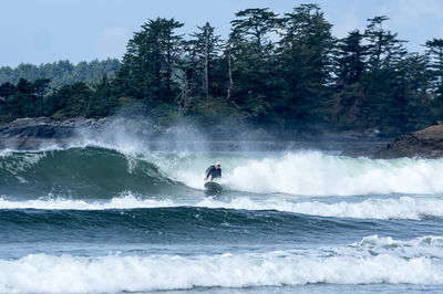 Man surfing in sea against trees