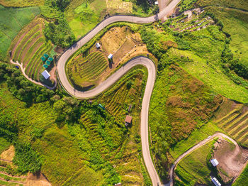 Aerial view of winding road amidst trees in forest