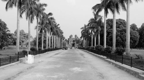 View of footpath along trees