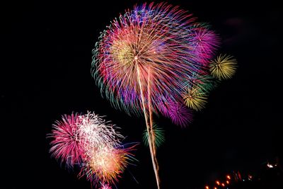 Low angle view of firework display at night